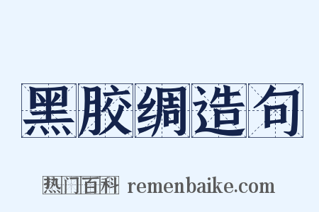 黑胶绸造句是什么意思的图片